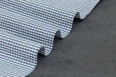 White & Blue formal small Gingham Check