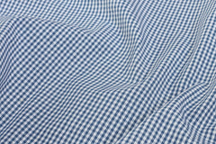 White & Blue formal small Gingham Check