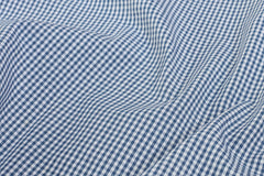 White & Blue Formal Small Gingham Check Cotton Fabric