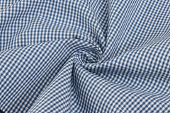 White & Blue formal small Gingham Check