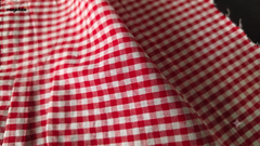 White & Red Cotton Seersucker Gingham Checks Fabric